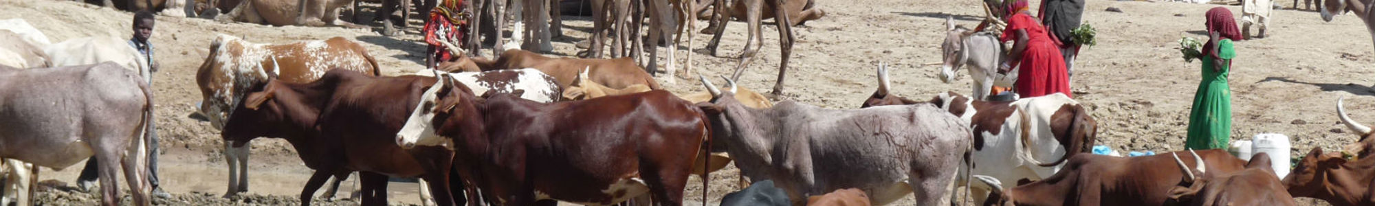 Eu Framework Contracts Food Security In Chad